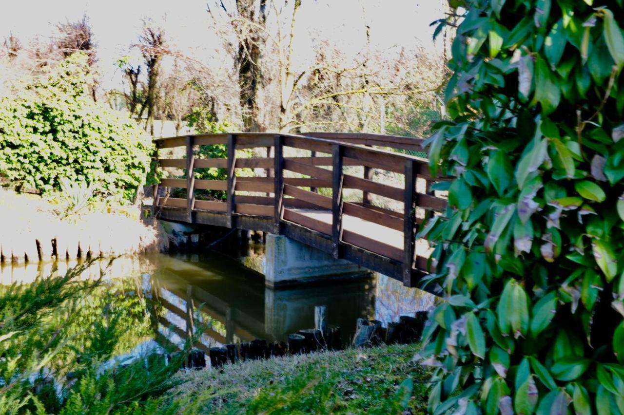 Giardino Di Rebecca Panzió Castiglione di Ravenna Kültér fotó