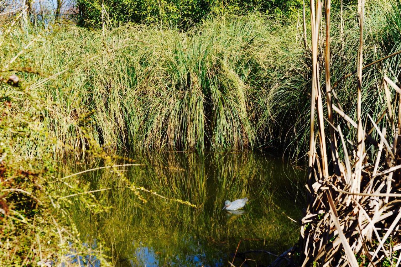 Giardino Di Rebecca Panzió Castiglione di Ravenna Kültér fotó