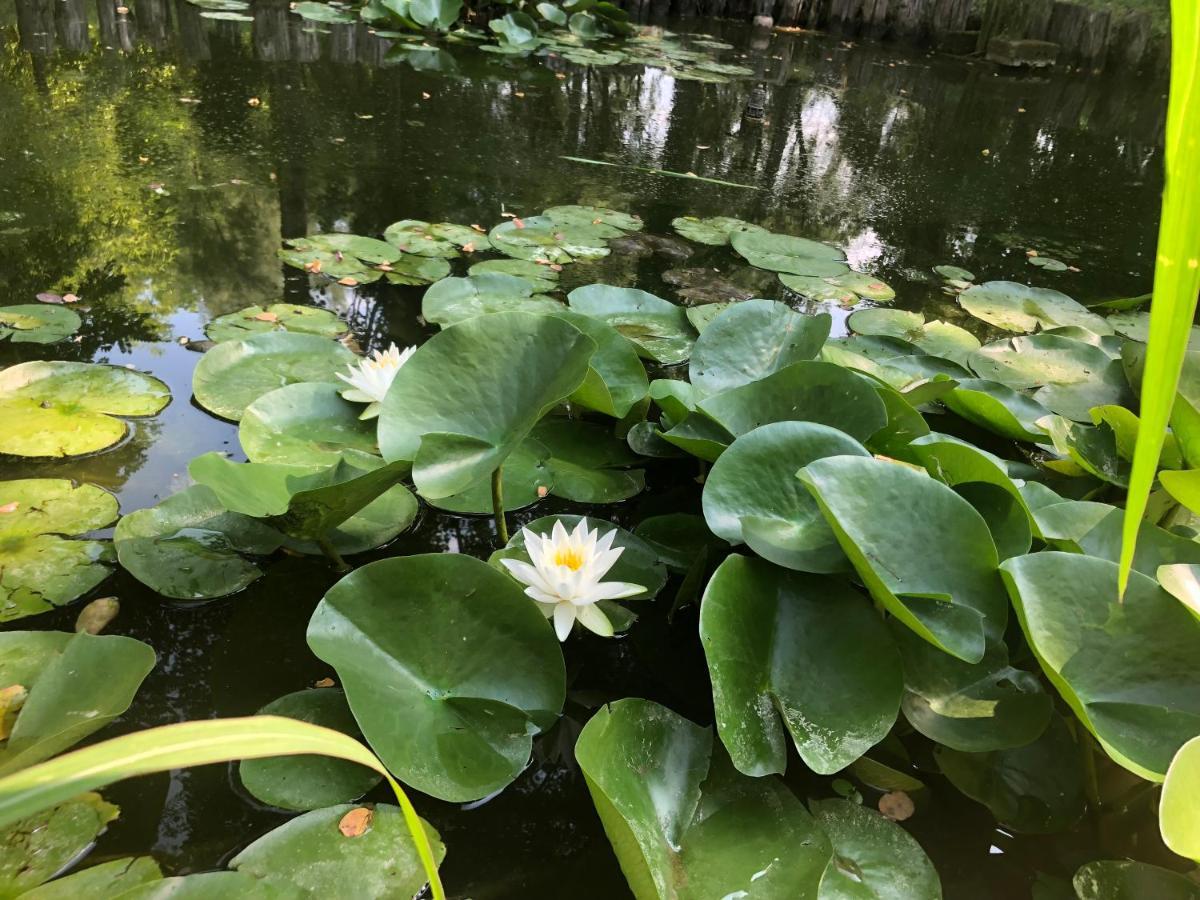 Giardino Di Rebecca Panzió Castiglione di Ravenna Kültér fotó